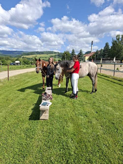 6978f4a1-dd56-4c7b-b50e-eb4d48278d08